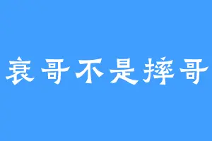 衰哥不是摔哥