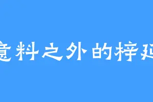 意料之外的梓延