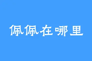 佩佩在哪里