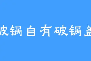 破锅自有破锅盖