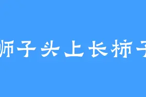 狮子头上长柿子