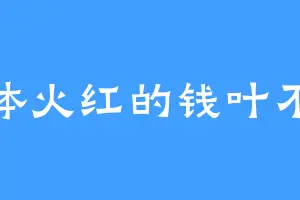 通体火红的钱叶不凡
