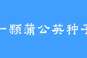 一颗蒲公英种子