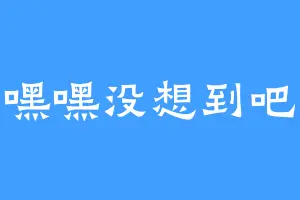 嘿嘿没想到吧
