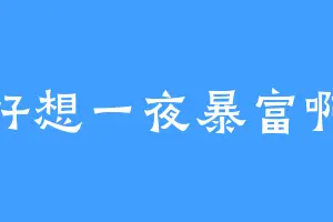 好想一夜暴富啊