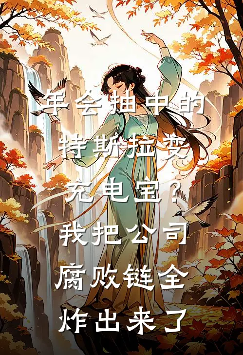 年会抽中的特斯拉变充电宝？我把公司腐败链全炸出来了