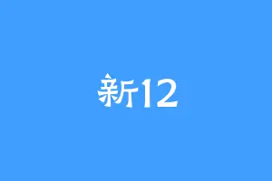 新12