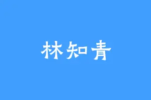 林知青
