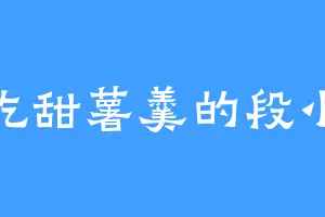 爱吃甜薯羹的段小姐