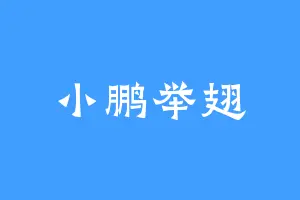 小鹏举翅