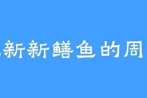 爱吃新新鳝鱼的周全德