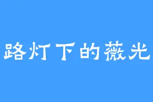 路灯下的薇光