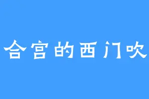 怡合宫的西门吹沙