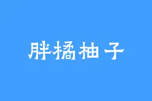胖橘柚子